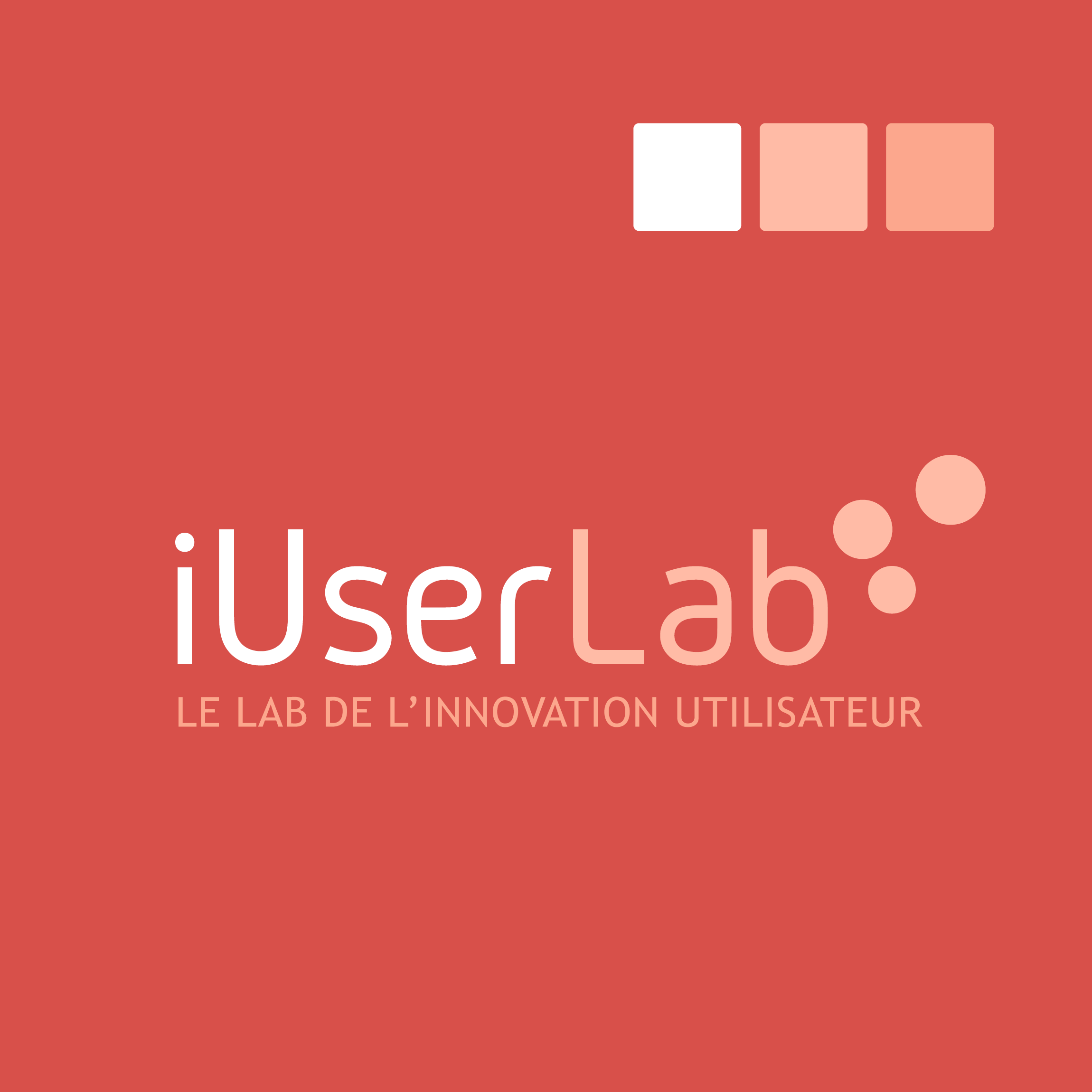 iUserLab - Camille Chauvelin - Graphiste