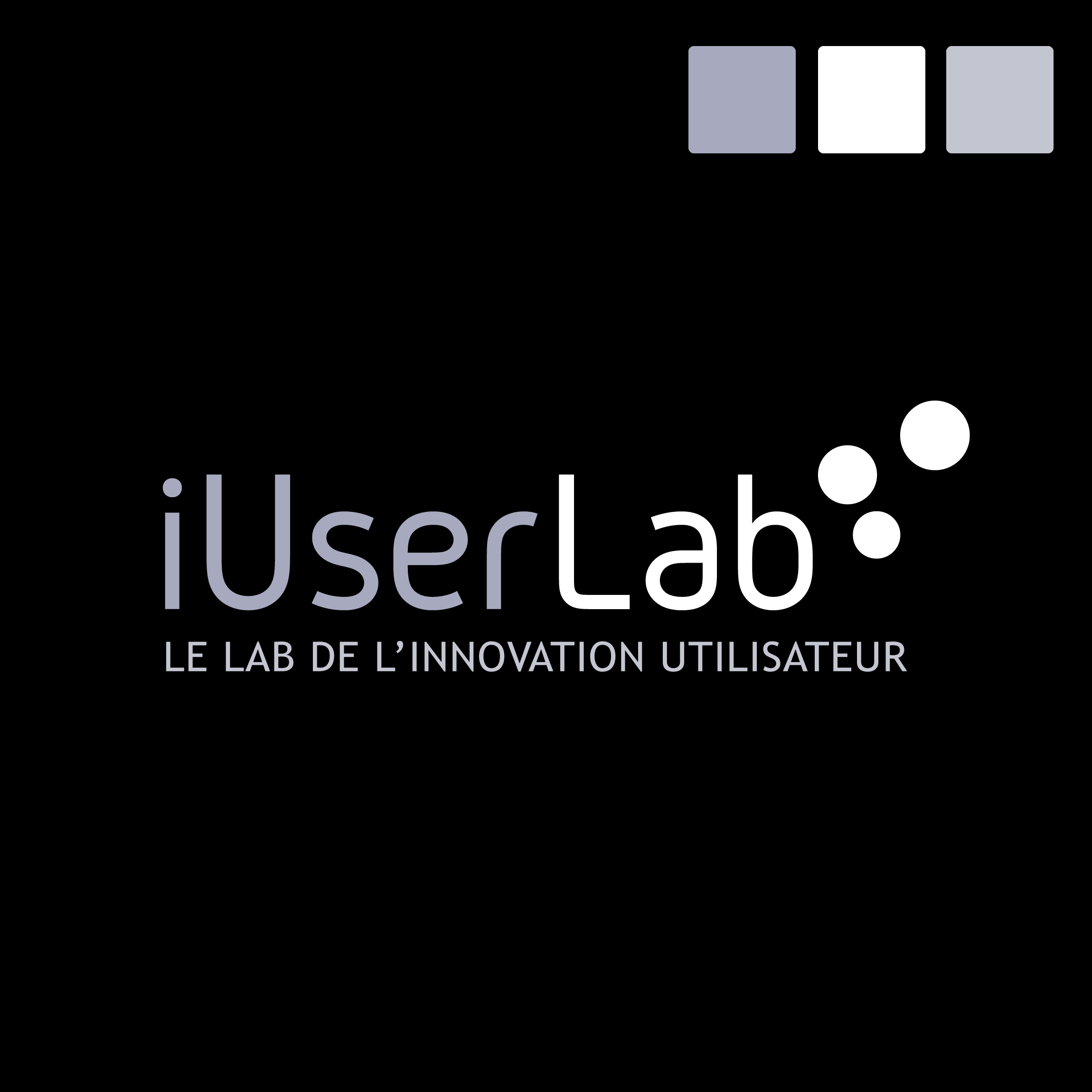 iUserLab - Camille Chauvelin - Graphiste