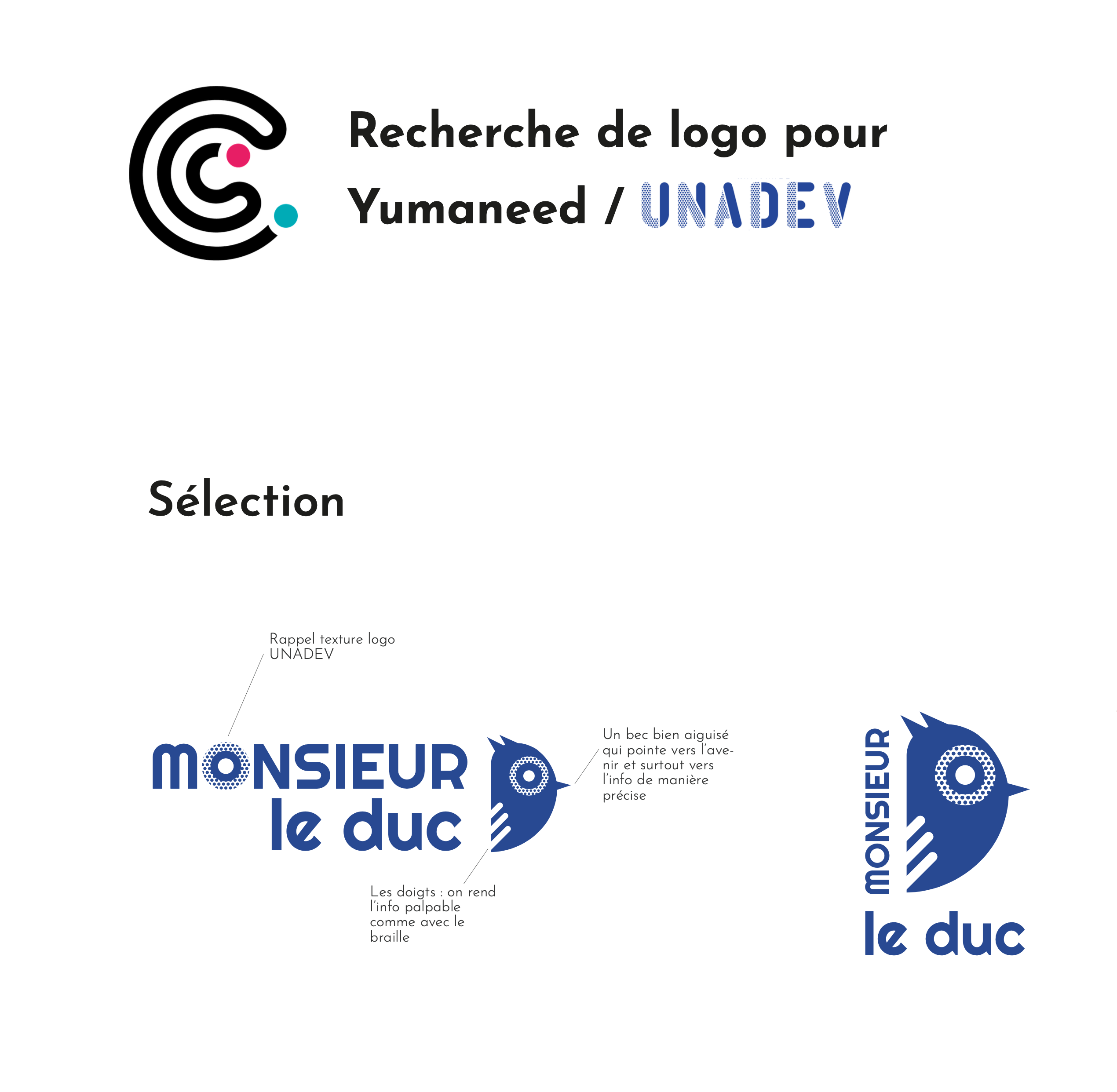 iUserLab - Camille Chauvelin - Graphiste